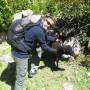 Bolivie - les moutons aussi sont sympas ! Comme Añmelie ne veut pas dún deuxieme cochon a la maison, je prends un mouton noir ! je vais lappeler... mouton noir !