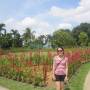 Malaisie - Lake Gardens