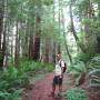 USA - Redwood National Park