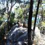 Nouvelle-Zélande - Abel Tasman National Park