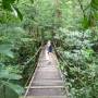 Mexique - Petit pont de singe dans la jungle mais avec Nanou