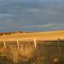 USA - Coucher du soleil sur un ranch touristique. 