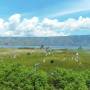 Indonésie -  Lac Toba