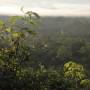 Bolivie - Madidi National Park