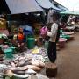 Laos - Marché aux poissons