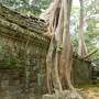 Cambodge - 