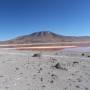 Bolivie - Laguna colorada 3