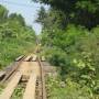 Cambodge - sur les rails