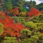 Japon - 