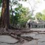 Cambodge - Ta Prom, le fameux temple ou des scènes de Tomb Raider ont été tourné!!