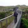 Nouvelle-Zélande - Pancake Rocks