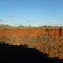 Australie - Karijini National Park, le 17/07/2011.