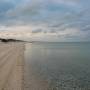 Australie - F. Peron NP: Herald bight