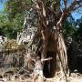 Cambodge - 