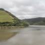 Nouvelle-Zélande - Waitakere regional park