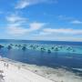 Australie - Rottnest Island