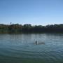 Cambodge - Yaklom lake