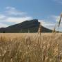 Australie - Les Grampians tout en beauté