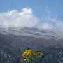 Visita al Parque Puyehue