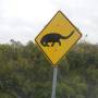 Australie - Attention, dinosaure !