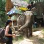 Thaïlande - Petite séance grignotage après la promenade