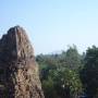 Cambodge - Vue sur la foret depuis le temple Pre Rup