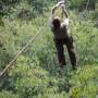 Laos - Gibbon Experience