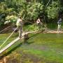 Laos - Gibbon Experience