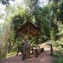 Laos - Gibbon Experience