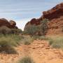 Australie - Kings Canyon