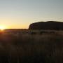 Australie - Uluru 