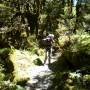 Nouvelle-Zélande - Routeburn Track