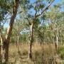 Australie - Kakadu national park