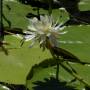 Australie - Kakadu national park