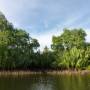 Cambodge - Ballade en bateau