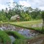 Indonésie - Ubud