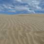 Nouvelle-Zélande - Dunes de Te Paki - Dunas de Te Paki