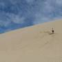 CAPE REINGA