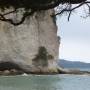 Nouvelle-Zélande - Cathedral Cove