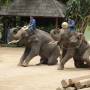 Thaïlande - elephant conservation center- Chiang Mai