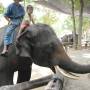 Thaïlande - elephant conservation center- Chiang Mai