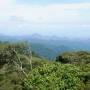 Malaisie - Paysage des Cameron highlands