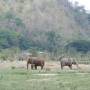 Thaïlande - Le parc