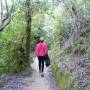 Nouvelle-Zélande - Abel Tasman National Park