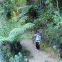 Nouvelle-Zélande - Abel Tasman National Park