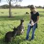 Australie - 