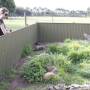 Australie - 