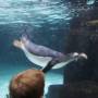 Australie - 