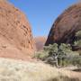 KATA TJUTA