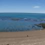 Argentine - Puerto Madryn - Otaries 8